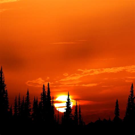 Relaxing Orange Sunset Evening 4k Ipad Pro Wallpapers Free Download