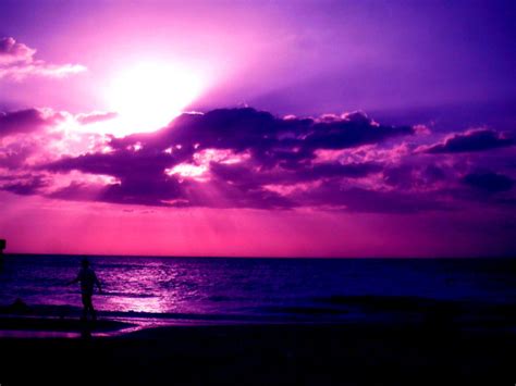 Purple Sunset Background Wallpaper All Hd Wallpapers