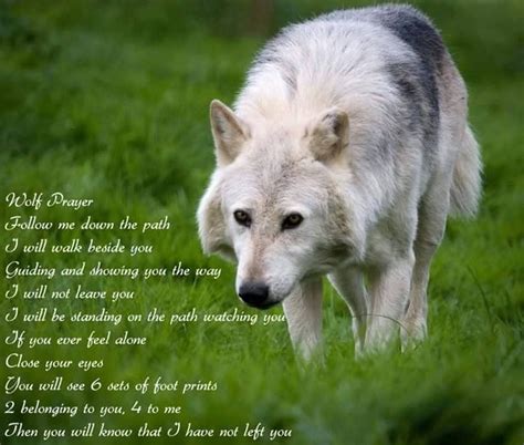 Pin By Dixie Williams On Wolves Wolf Photos Wolf Poem Wolf