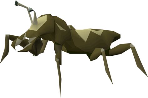 Cave Bug Osrs Wiki