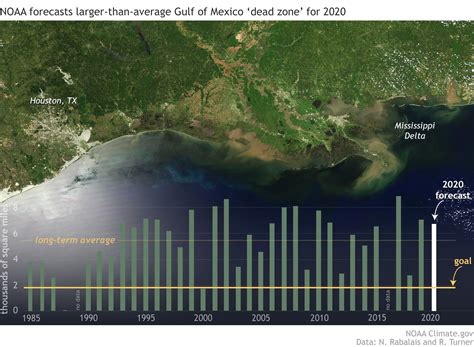 Gulf Of Mexico Dead Zone Summer 2020 Forecast Earth Earthsky