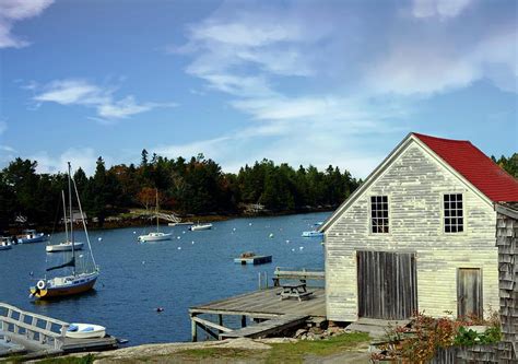 Harbor With Fisning Boats Booth Bay Maine Photograph By William Reagan