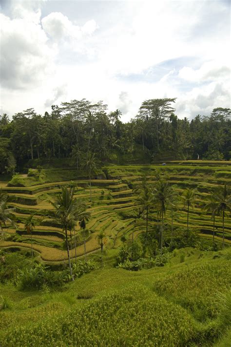 Cultural Landscape Of Bali Province Subak System Flickr