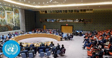 Live United Nations Security Council