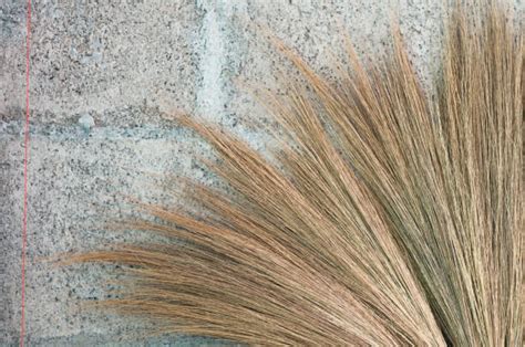 Broom Straw Grass Stock Photos Pictures And Royalty Free Images Istock