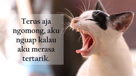 Hal itu biasa dilakukan karena tak ingin berdebat atau justru khawatir melukai perasaan seseorang jika berkata jujur. 35 Kata Kata Sindiran Halus Tapi Mampu Menyentil Perasaan ...