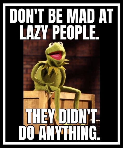 Funny Kermit Memes Funny Animal Jokes Cartoon Jokes Funny Cartoons