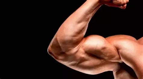 This represents perhaps the most complete picture of the most common names in the united states. What are the best ways to build arm muscles? - Quora
