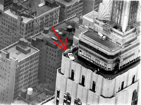 The Mustang Turns 50 Ford Will Celebrate Atop The Empire State Building Blog