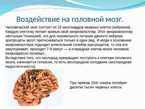 Кислородное голодание мозга симптомы причины лечение диета - фото Картинка - Кислородное голодание мозга симптомы причины лечение диета - фото