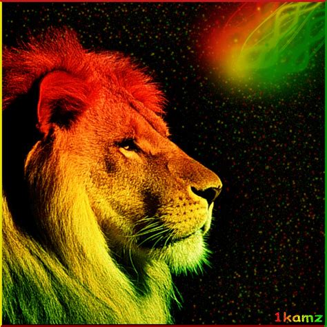 Reggae Lion Wallpaper Wallpapersafari