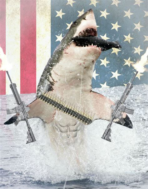 A Friend Asked Me To Photoshop A Picture Of A Shark This Is What I