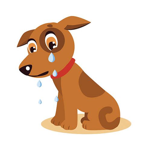 Sad Dog Faces Pictures Illustrations Royalty Free Vector Graphics