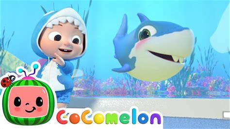 Baby Shark Submarine Version Cocomelon Animal Time Animal