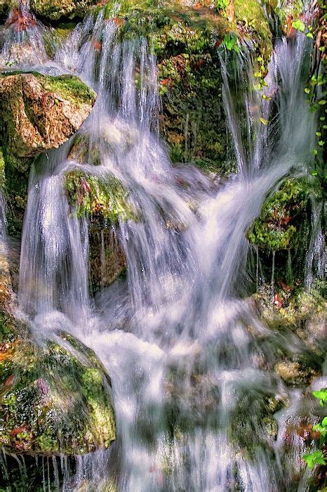 Rainbow Springs Waterfall By Louis Ferreira Waterfall Rainbow