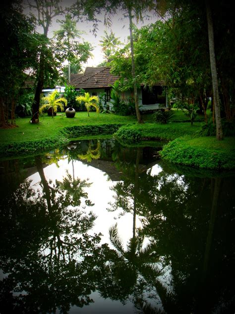 Beautiful Home Gardens In Kerala Beautiful Insanity