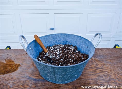 Christmas cactus love leftover tea. How to Make DIY Succulent & Cactus Soil Mix | Succulents ...