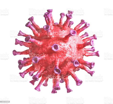 Virus Del Herpes Sobre Un Fondo Blanco Ilustraci N D Foto De Stock Y M S Banco De Im Genes De
