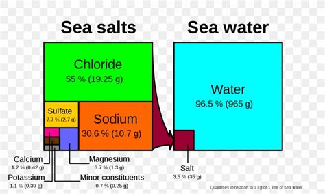 Temperature Salinity Diagram Seawater Ocean Png 1200x720px Salinity