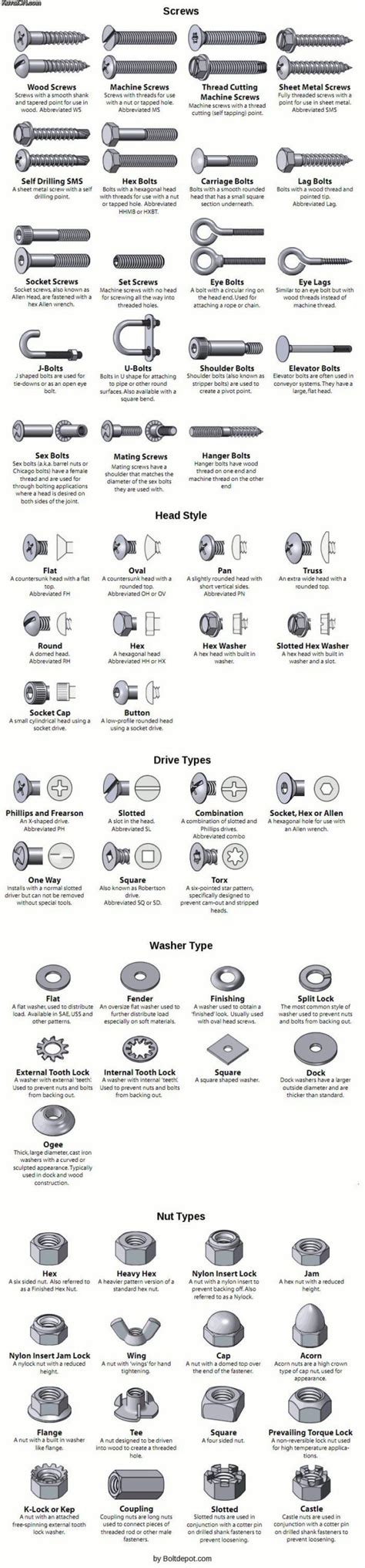 Data Chart Types Of Screws And Bolts Guide Infographic