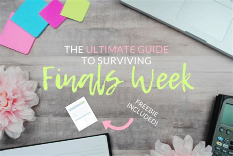 The Ultimate Guide To Surviving Finals Week The Olden Chapters