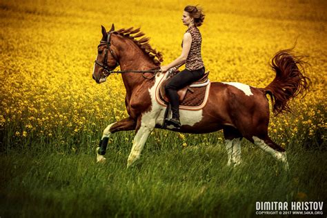 Girls Riding Horse In Beautiful Meadow 54ka Photo Blog