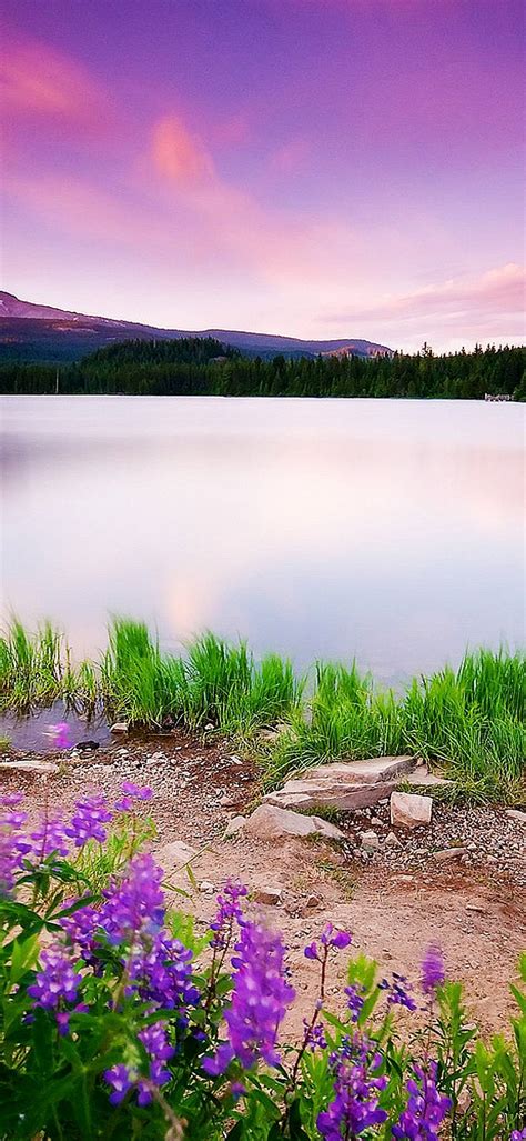 Mountain Lake And Sunset 1080x2340
