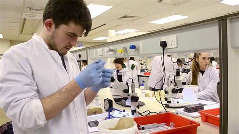 Biomedical Science At The University Of Sheffield Youtube