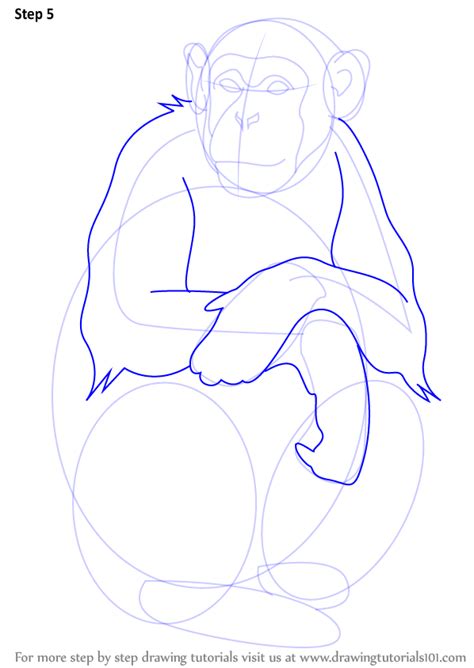Don't forget t0 draw a few hairs near the wrists and the ankles. Learn How to Draw a Chimpanzee (Other Animals) Step by Step : Drawing Tutorials