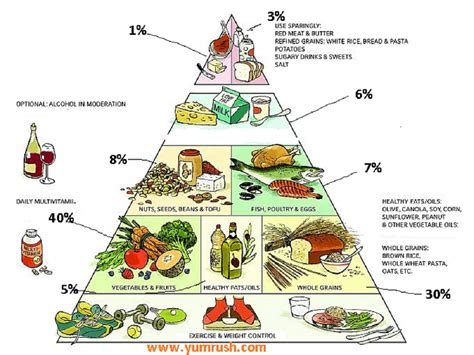 The Healthy Eating Pyramid Has A Picture Of “daily Exercise And Weight