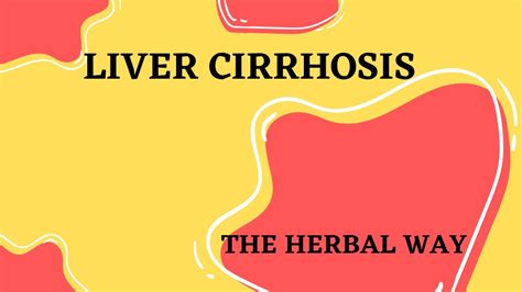 Liver Cirrhosis Heal Yourself The Herbal Way Youtube