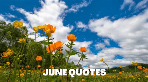 65 Inspirational June Quotes On Success In Life Overallmotivation