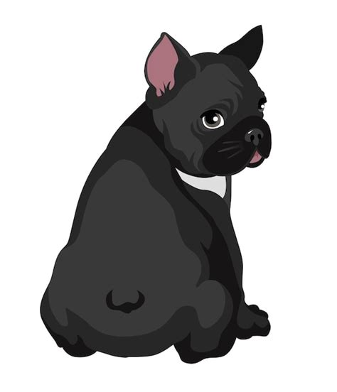 Premium Vector Cute Black French Bulldog Sitting