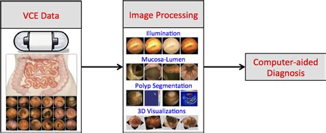 Automatic Image And Video Analysis For Capsule Endoscopy An Open Frontier