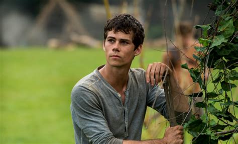 Searching for clues about the mysterious and powerful organization known as wckd. Maze Runner director 'overwhelmed with anger and guilt ...