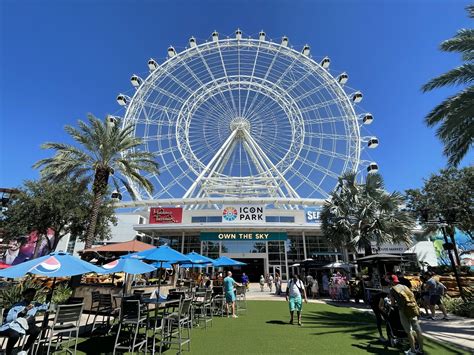 Best Things To Do On International Drive In Orlando Aiken Adventures