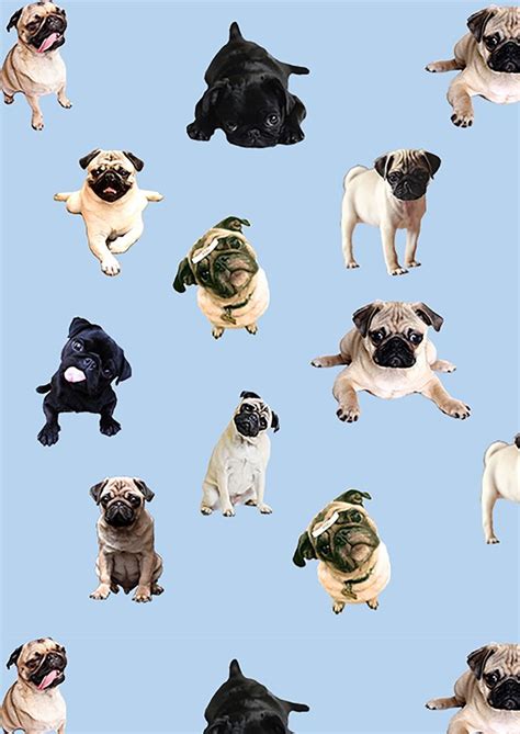 También tenemos fondos de pantalla hd de anime y pronto vamos a añadir más imágenes de juegos, ya que actualmente solamente existen los fondos de pantalla de fortnite en nuestra página. 10 Fondos De Pantalla De Pug Que Todo Pug Lover Tiene Que ...
