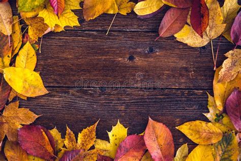 Autumn Leaves Over Wooden Background Stock Photo Image Of Harvest