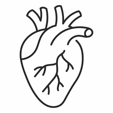 Heart Organ Cardiovascular Internal Cardio Icon Download On