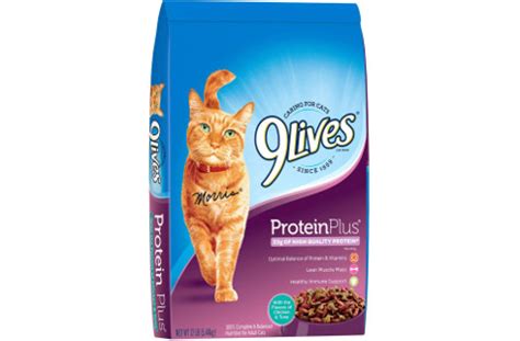 Check spelling or type a new query. Best High Calorie Cat Food to Gain Weight (w/ Reviews)