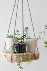 Pictures of Hanging Plant Shelf Diy
