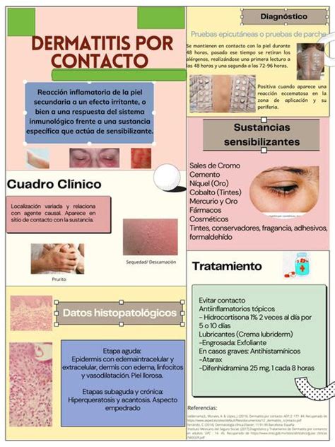 Dermatitis Por Contacto Elizabeth Hernández Udocz