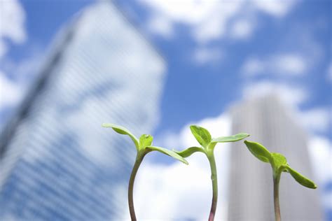 It also includes studies on the environmental impact of proposed construction projects. 5 Careers for MS Environmental Engineering Grads | UC ...