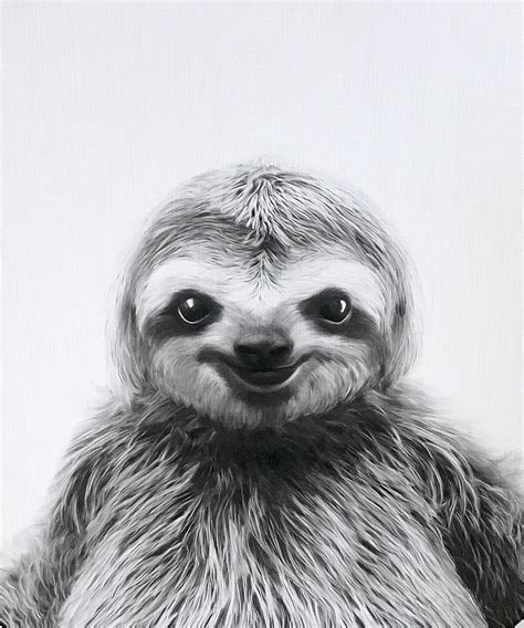 Pin By Tootoo Quilt On Nice Picture Sloth Drawing Sloth Art Sloth