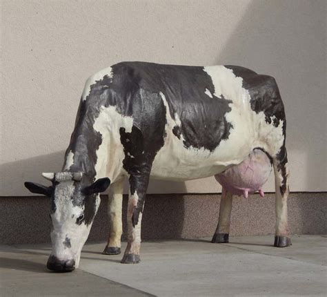 realistic garden ornament fiberglass cow statues for sale