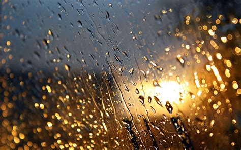 Adorable wallpapers > artistic > rain desktop wallpapers (45 wallpapers). Rain on The Window Wallpaper | Wallpaper Pedia