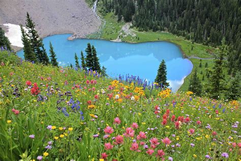 Spring Hikes In Ouray County Chipeta Solar Springs