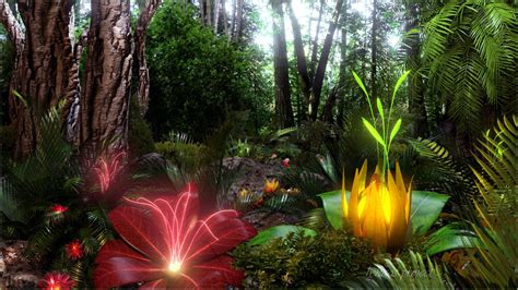 73 Tropical Forest Wallpaper
