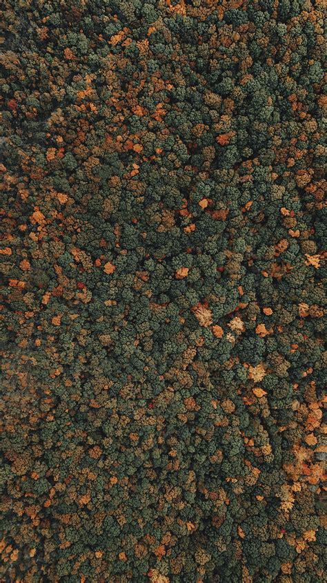 Brown And Black Stone Fragments Hd Phone Wallpaper Peakpx