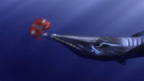 The barracuda is a saltwater fish of the genus sphyraena. Erros no filme "À procura de Nemo": falhas biologia dos ...